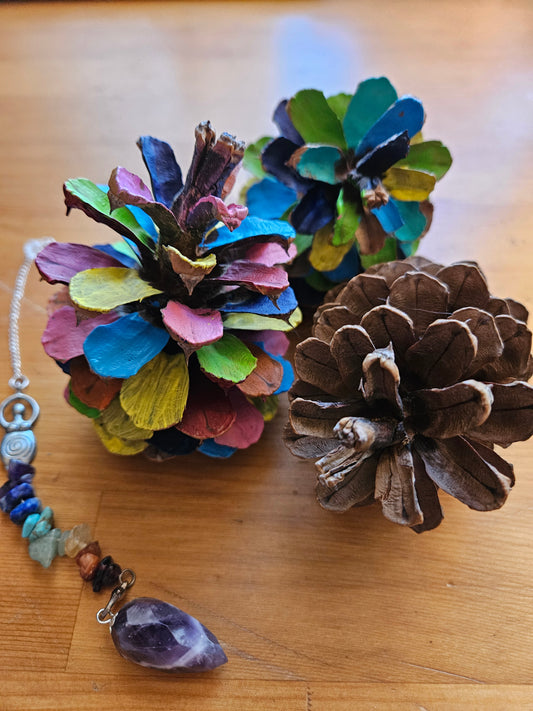 Emotional Support Pinecone - Your Natural Companion