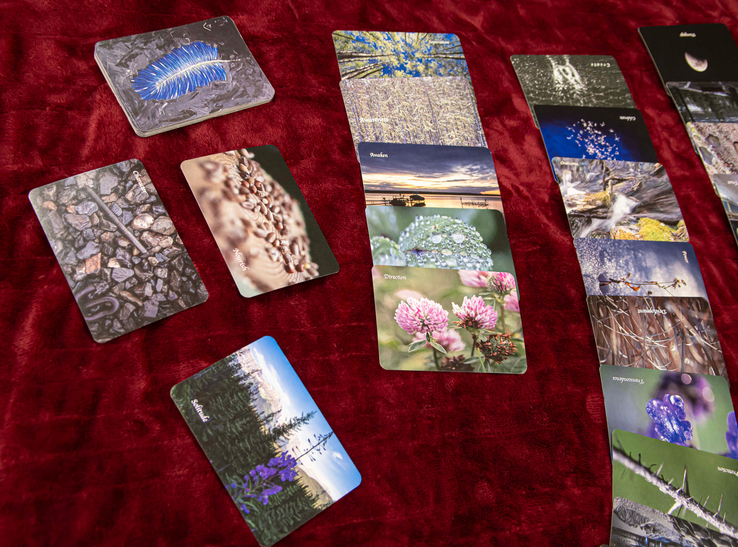 The All Scenic Eye Oracle Deck